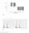 Fig. 07 - COMPOSITIONS INCLUDING A VACANCY-ENGINEERED (VE)-ZnO  NANOCOMPOSITE, METHODS OF MAKING THE COMPOSITIONS AND METHODS  OF USING THE COMPOSITIONS