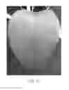 Fig. 10 - A Mycoherbicide