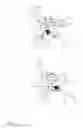 Fig. 02 - In-feeding and object release apparatus