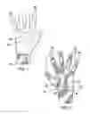Fig. 02 - Electrically Insulated Glove Assembly