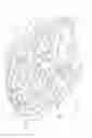 Fig. 05 - Shoe sole with improved grip capacity