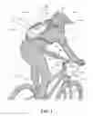 Fig. 02 - KIT FOR FLUID DELIVERY SYSTEM