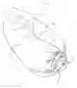 Fig. 01 - Lounge bag and method for producing a lounge bag to be filled with air