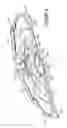 Fig. 06 - Wash system for washing appliance