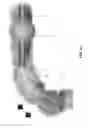 Fig. 74 - Method and apparatus for manipulating the side wall of a body lumen or body cavity so as to provide increased visualization of the same and/or increased access to the same, and/or for stabilizing instruments relative to the same