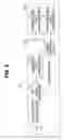Fig. 09 - IMAGE PICKUP APPARATUS