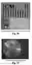 Fig. 45 - PRESSURE SENSORS FOR SMALL-SCALE APPLICATIONS AND RELATED METHODS