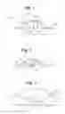 Fig. 02 - BLOOD GLUCOSE MANAGEMENT