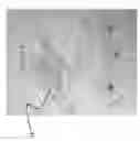 Fig. 02 - Table top image calibration phantom