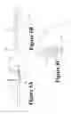 Fig. 08 - CELL AND TISSUE COLLECTION METHOD AND DEVICE