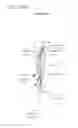 Fig. 149 - Methods and devices to decrease tissue trauma during surgery