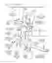 Fig. 85 - Methods and devices to decrease tissue trauma during surgery