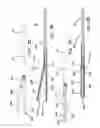 Fig. 13 - Surgical stapler with expandable jaw