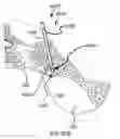 Fig. 71 - Systems for and methods of preparing a sacroiliac joint for fusion
