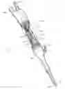 Fig. 01 - Ultrasonic surgical device with reduction in electrical interference