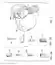 Fig. 03 - Dental / Prosthetic Implant