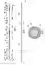 Fig. 02 - Ablation cable assemblies and a method of manufacturing the same