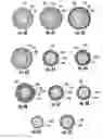 Fig. 15 - Ablation cable assemblies and a method of manufacturing the same