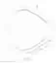 Fig. 27 - Prosthesis liner