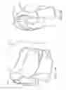 Fig. 14 - Joint stabilizing orthopedic device