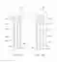 Fig. 40 - Cryogenic treatment systems