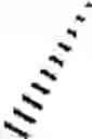 Fig. 97 - Bis-cyclic guanidine compound compositions, methods of use and treatment thereof