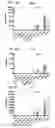 Fig. 08 - RNA CONTAINING COMPOSITIONS AND METHODS OF THEIR USE
