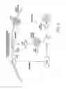 Fig. 07 - METHODS FOR ATTENUATING RELEASE OF INFLAMMATORY MEDIATORS AND PEPTIDES USEFUL THEREIN