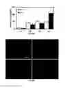 Fig. 04 - Spatiotemporal Delivery Vehicle and Related Methods