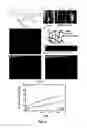 Fig. 05 - Spatiotemporal Delivery Vehicle and Related Methods