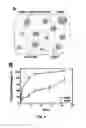 Fig. 06 - Spatiotemporal Delivery Vehicle and Related Methods