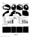 Fig. 10 - Spatiotemporal Delivery Vehicle and Related Methods