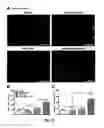 Fig. 11 - Spatiotemporal Delivery Vehicle and Related Methods