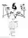 Fig. 13 - Spatiotemporal Delivery Vehicle and Related Methods