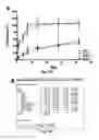 Fig. 14 - Spatiotemporal Delivery Vehicle and Related Methods