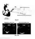 Fig. 18 - Spatiotemporal Delivery Vehicle and Related Methods