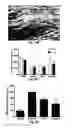 Fig. 24 - Spatiotemporal Delivery Vehicle and Related Methods