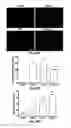 Fig. 25 - Spatiotemporal Delivery Vehicle and Related Methods