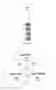 Fig. 32 - METHOD OF TREATING A LOCALIZED FIBROTIC DISORDER USING A TNF RECEPTOR 2 ANTAGONIST