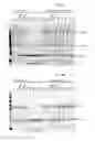 Fig. 02 - Antibodies comprising multiple site-specific non-natural amino acid residues, methods of their preparation and methods of their use