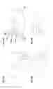Fig. 11 - Apparatus for playing a game