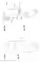 Fig. 22 - Apparatus for playing a game