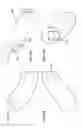 Fig. 47 - Apparatus for playing a game