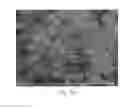 Fig. 06 - Method for degrading an organic material and method for sterilizing