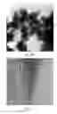 Fig. 07 - Method for degrading an organic material and method for sterilizing