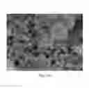 Fig. 08 - Method for degrading an organic material and method for sterilizing