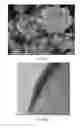 Fig. 12 - Method for degrading an organic material and method for sterilizing