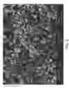 Fig. 03 - Dehydration-hydrolysis processes and catalysts therefor