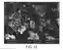 Fig. 10 - Dehydration-hydrolysis processes and catalysts therefor