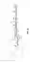 Fig. 06 - Capillary transfer pipettes and related methods